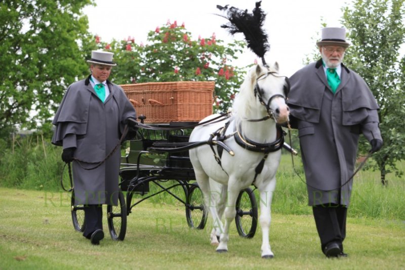 Woodland green burial ceremony with horse and carriage.