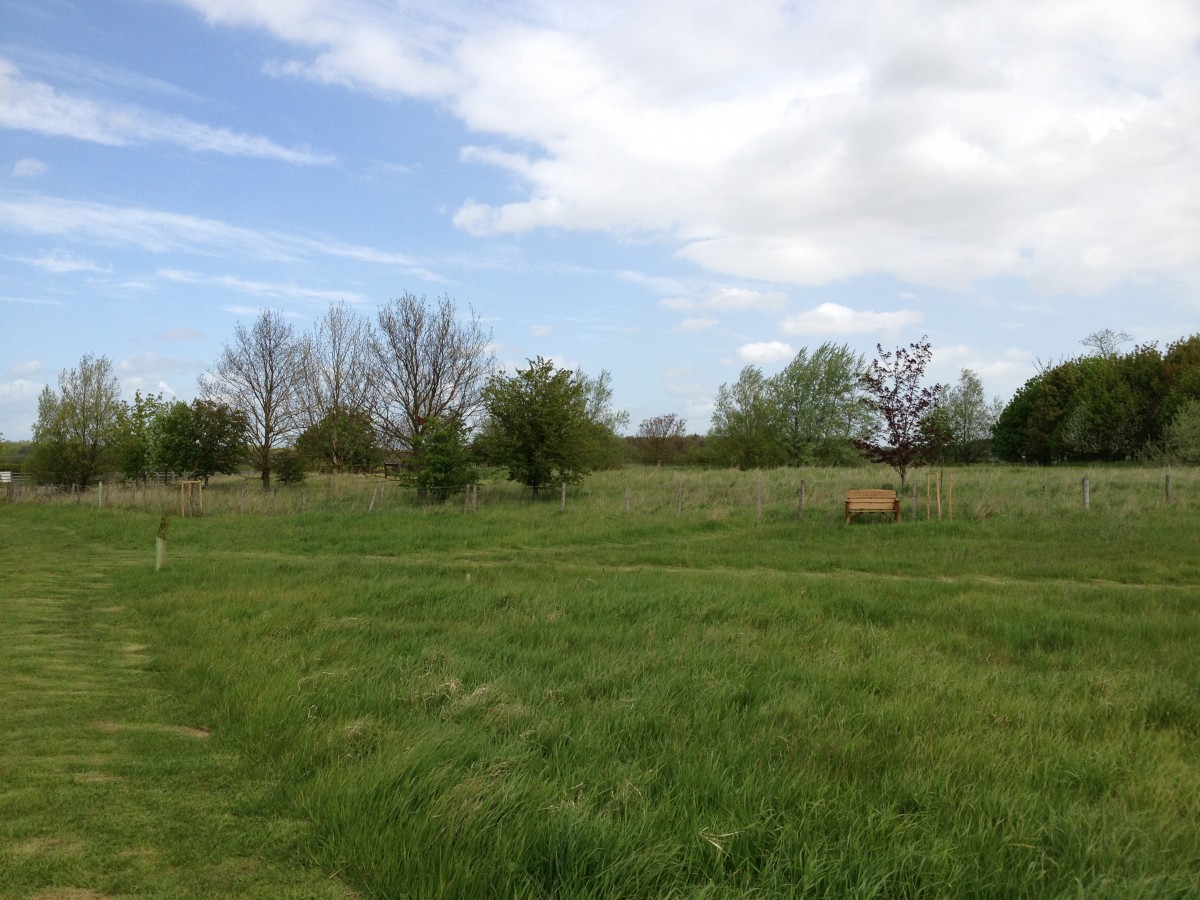 The New Spring Grass at Respect's Laughton Park - Respect Woodland ...
