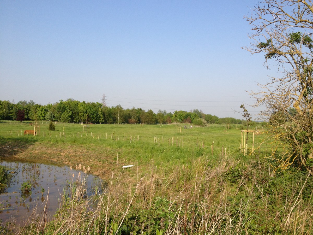 Stunning countryside view and pond at a Respect minimalist funeral service