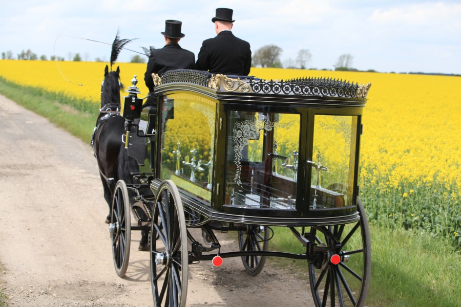 Horse carrying empty carriage for Respect Woodland Green Burial Funeral Services