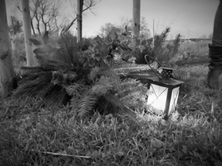 Candlelight Vigil - Bawtry Park @ Respect Green Burial Park | Bawtry | United Kingdom