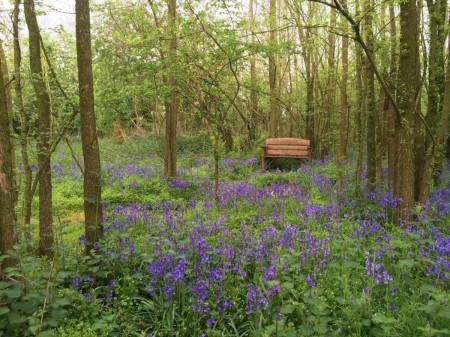 no fuss funeral services at Respect in the beautiful British countryside.