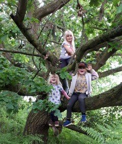 children playing on tree at Respect woodland burials