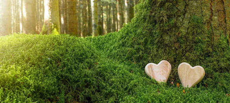 beautiful green burial site with 2 love heart memorial pieces by a tree