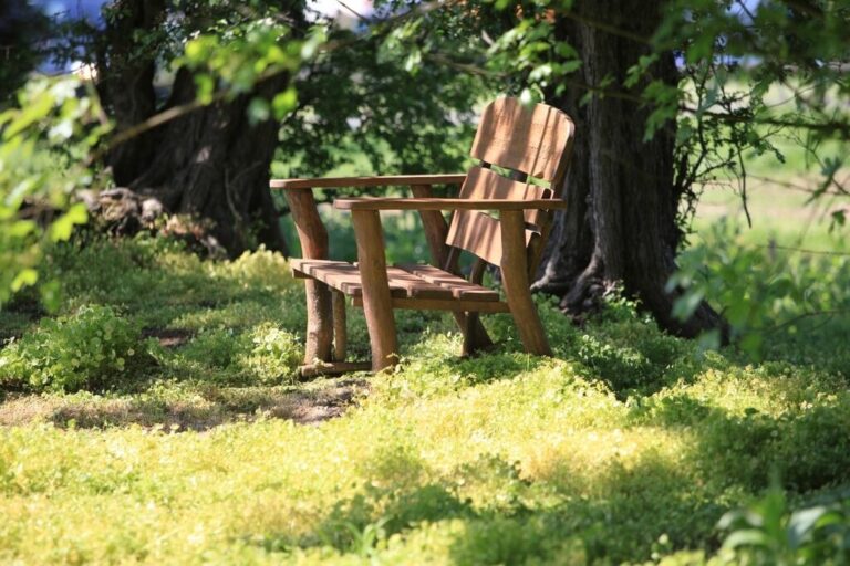 Wooden bench at eco friendly burial grounds.