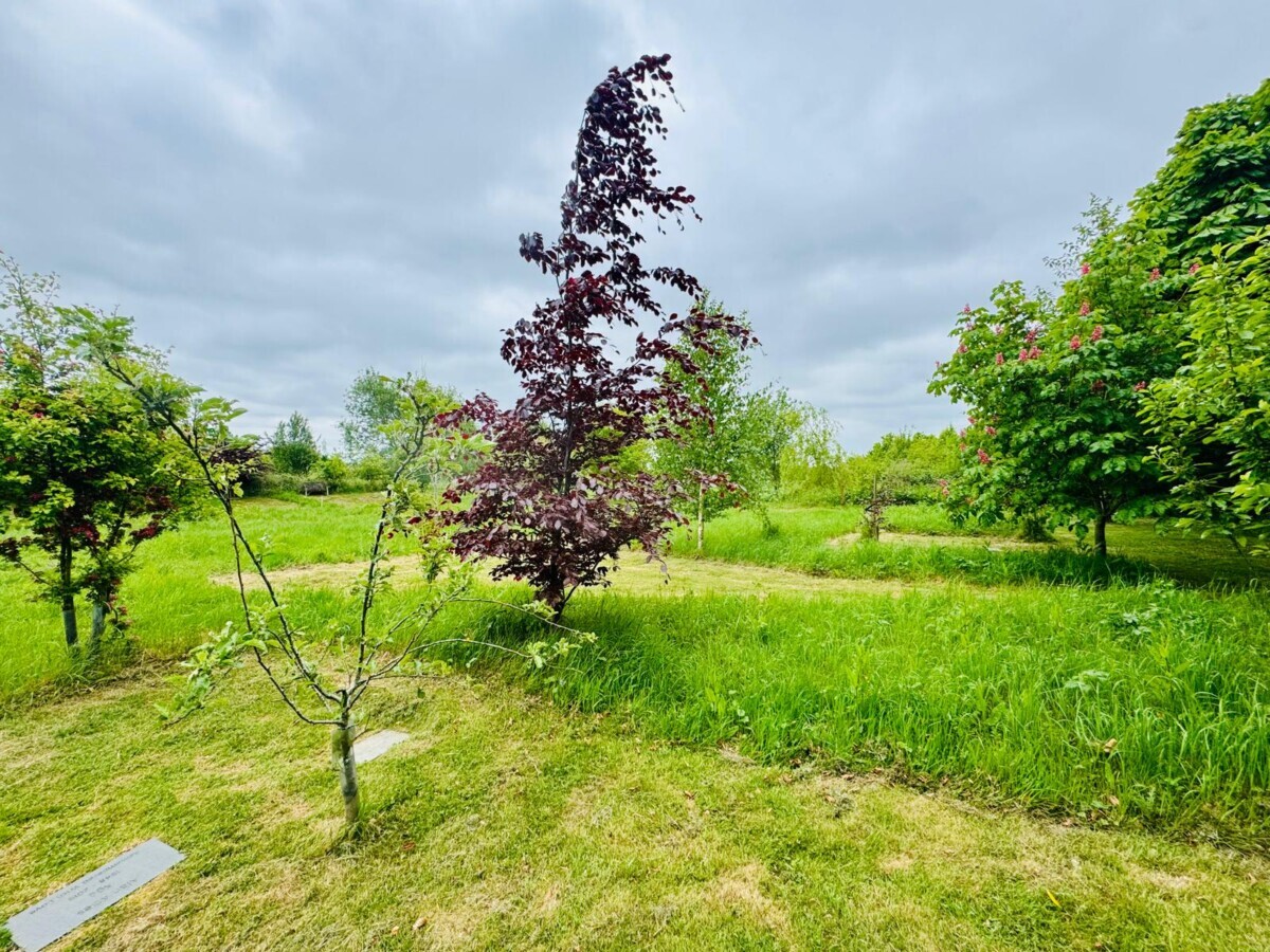 Woodland green burial with ceremony at Respect Funeral Services