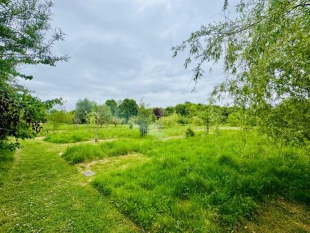 A woodland burial site at Respect woodland green burial ground.