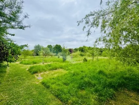 A woodland burial site at Respect woodland green burial ground.