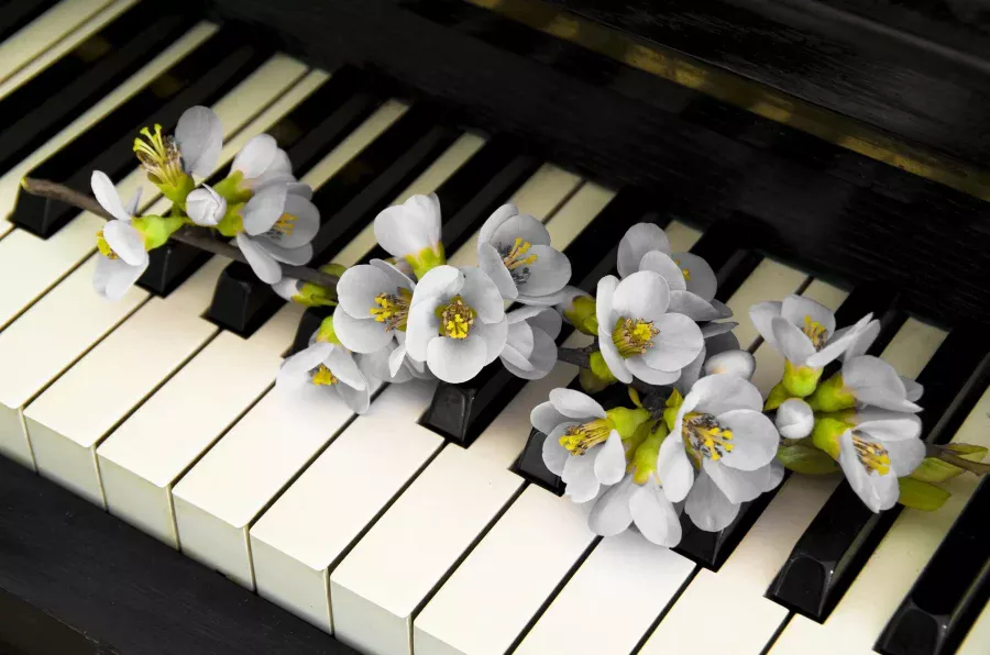 Piano with condolence flowers to play 40 most popular funeral songs.