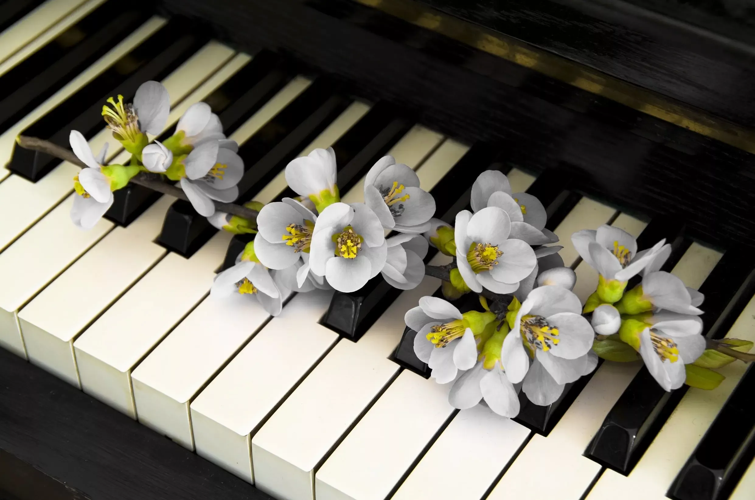 Piano with condolence flowers to play 40 most popular funeral songs.