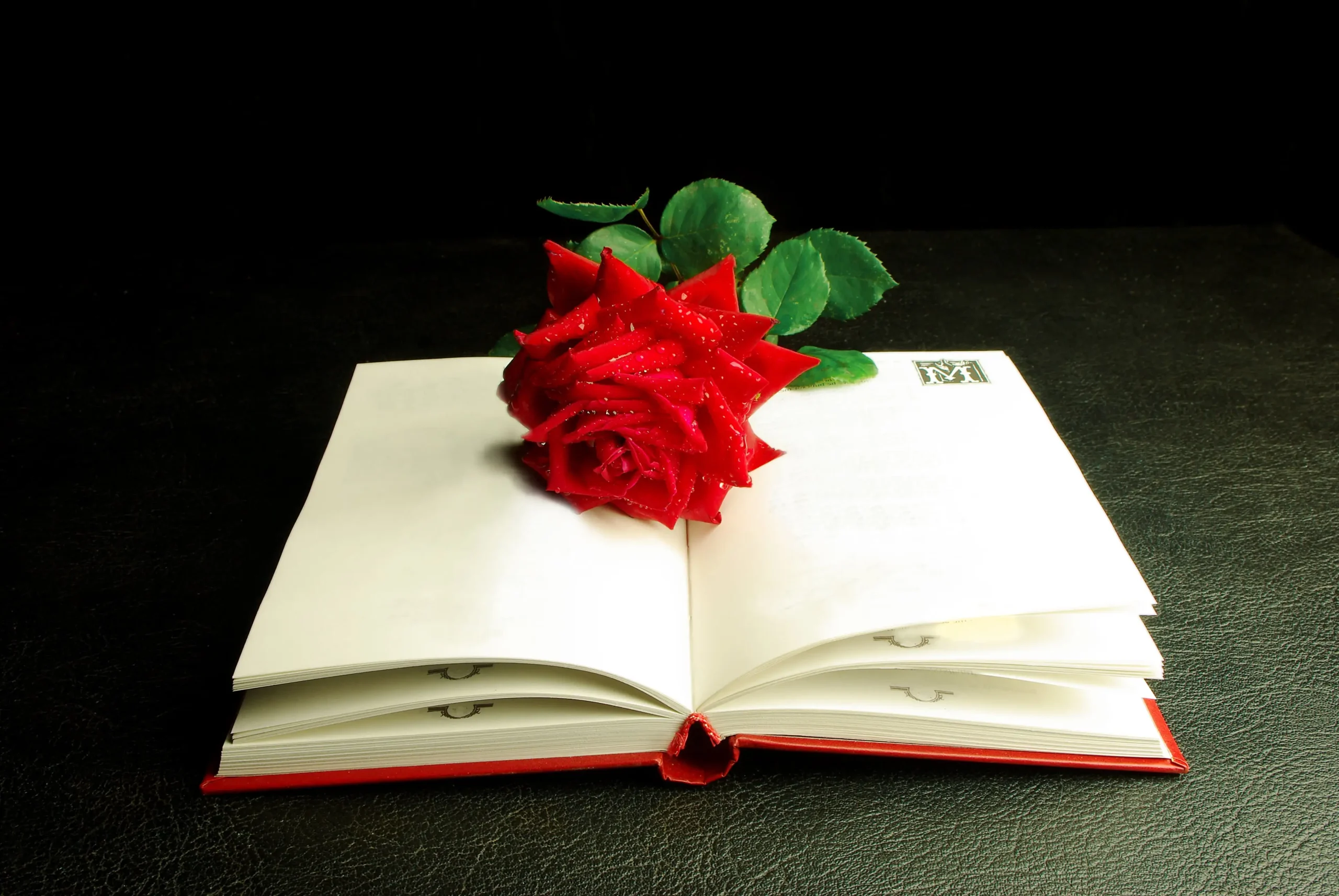 Book of funeral poems for Dad and red rose at Respect woodland burial park.